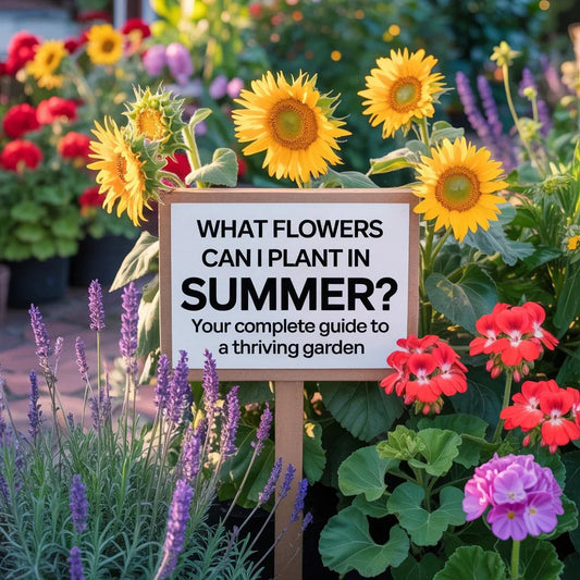 Vibrant summer flowers including sunflowers, zinnias, and nasturtiums blooming in a sunny backyard garden