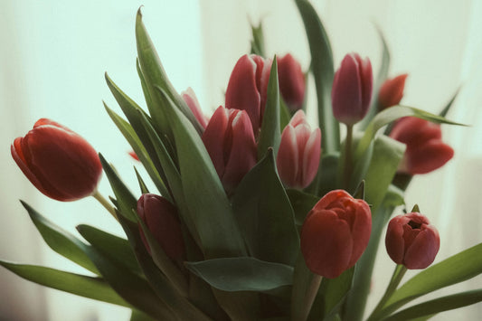 "Beautiful eco-friendly flower bouquet for Mother's Day, featuring organic, sustainably sourced blooms wrapped in biodegradable packaging