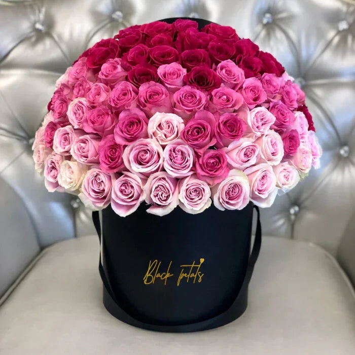 Signature 75 Ombre - Black Petals