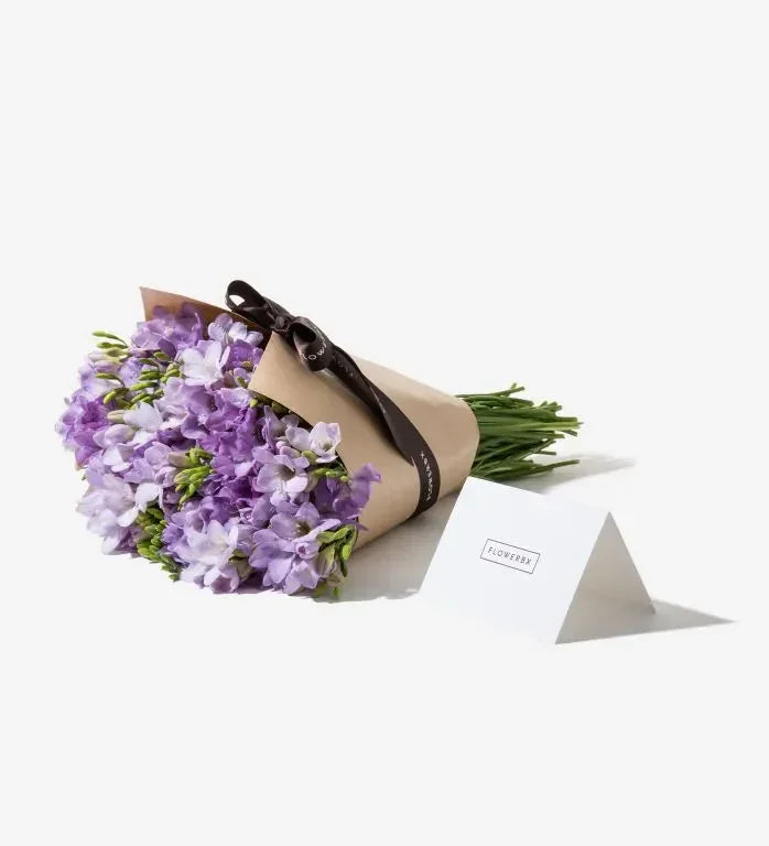 Mauve Freesia - Black Petals