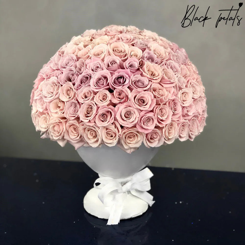100 BP Blush Roses In A Vase - Black Petals