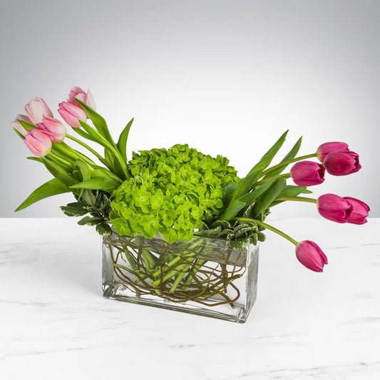 hydrangea tulip bouquets - Black Petals