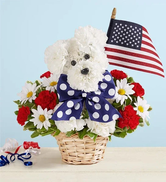 Yankee Doodle Doggie™ - Black Petals