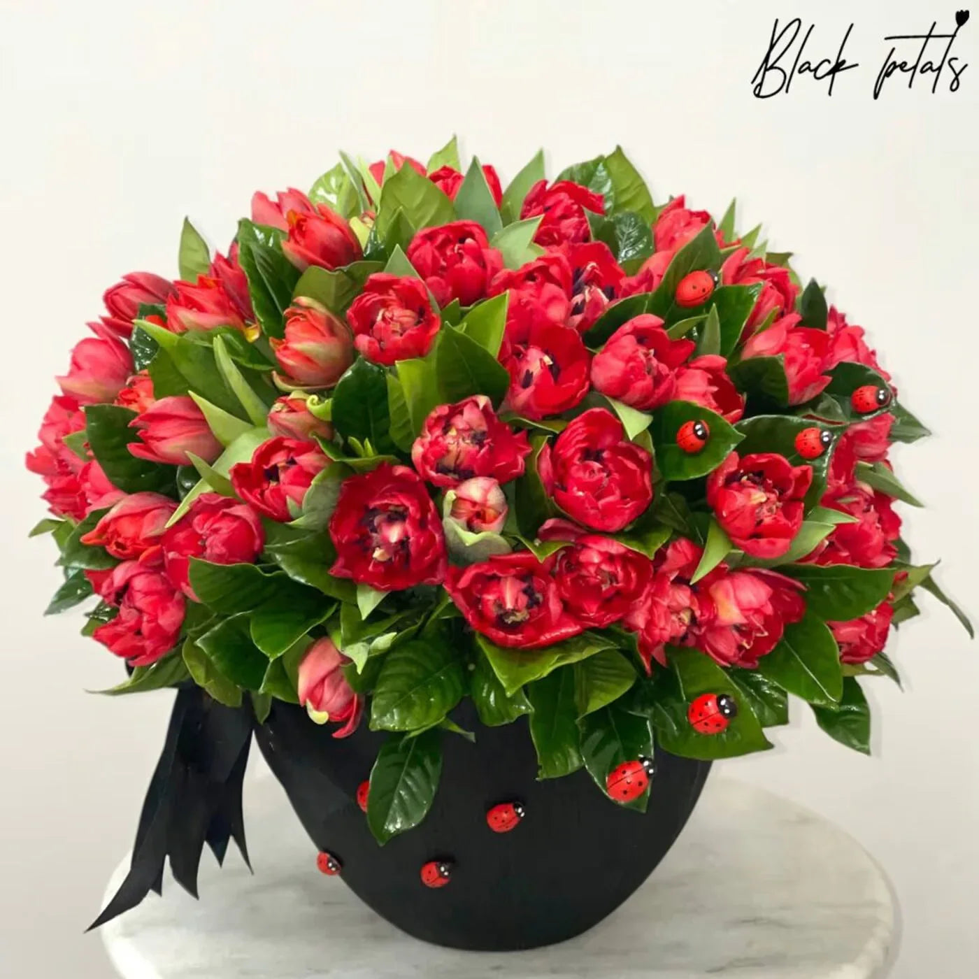 Cherry Lady - Black Petals