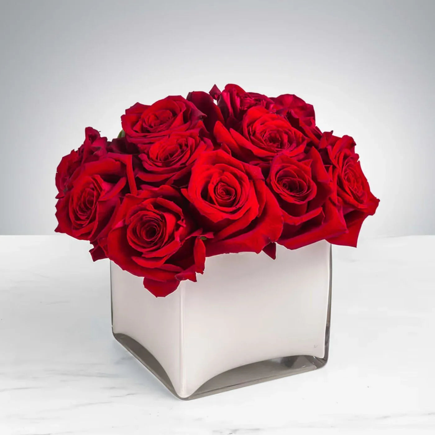 Radiant in Red - Black Petals