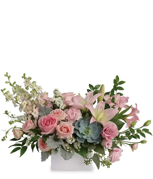Modern Romance Succulent Arrangement - Black Petals