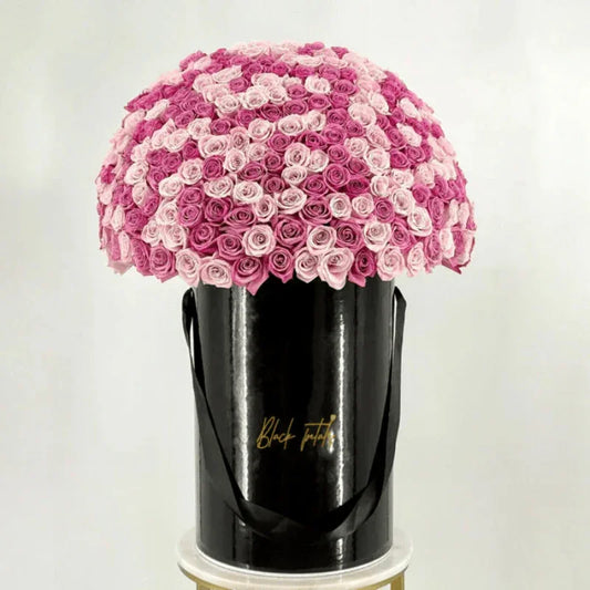 300 Jumbo Faith & Deep Purple Roses - Black Petals