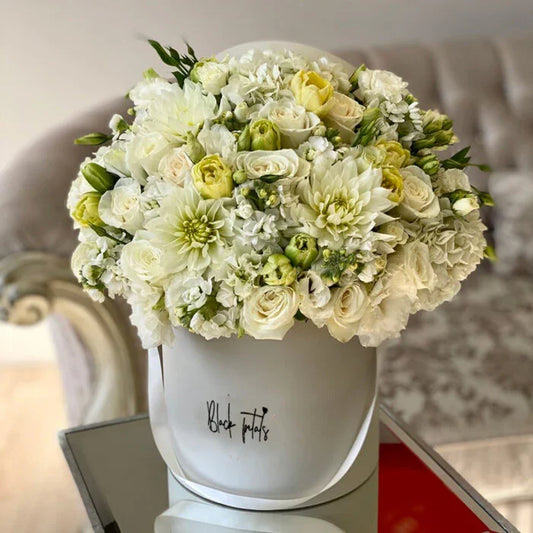 White-Full - Black Petals