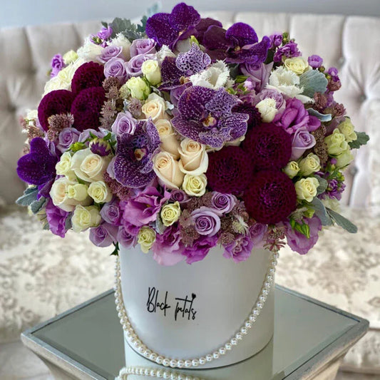 Violet Elegance - Black Petals