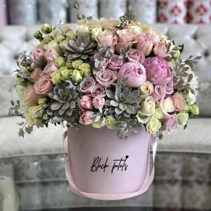 Romance with Succulents - Black Petals