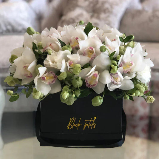 White Cymbidium Cloud - Black Petals