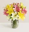 Sweet Spring Lilies for Mother’s Day - Black Petals