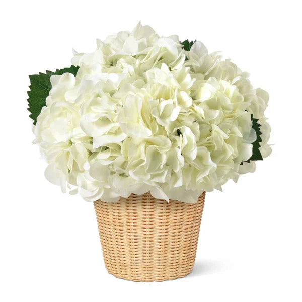 White Hydrangea in Freya Vase - Black Petals