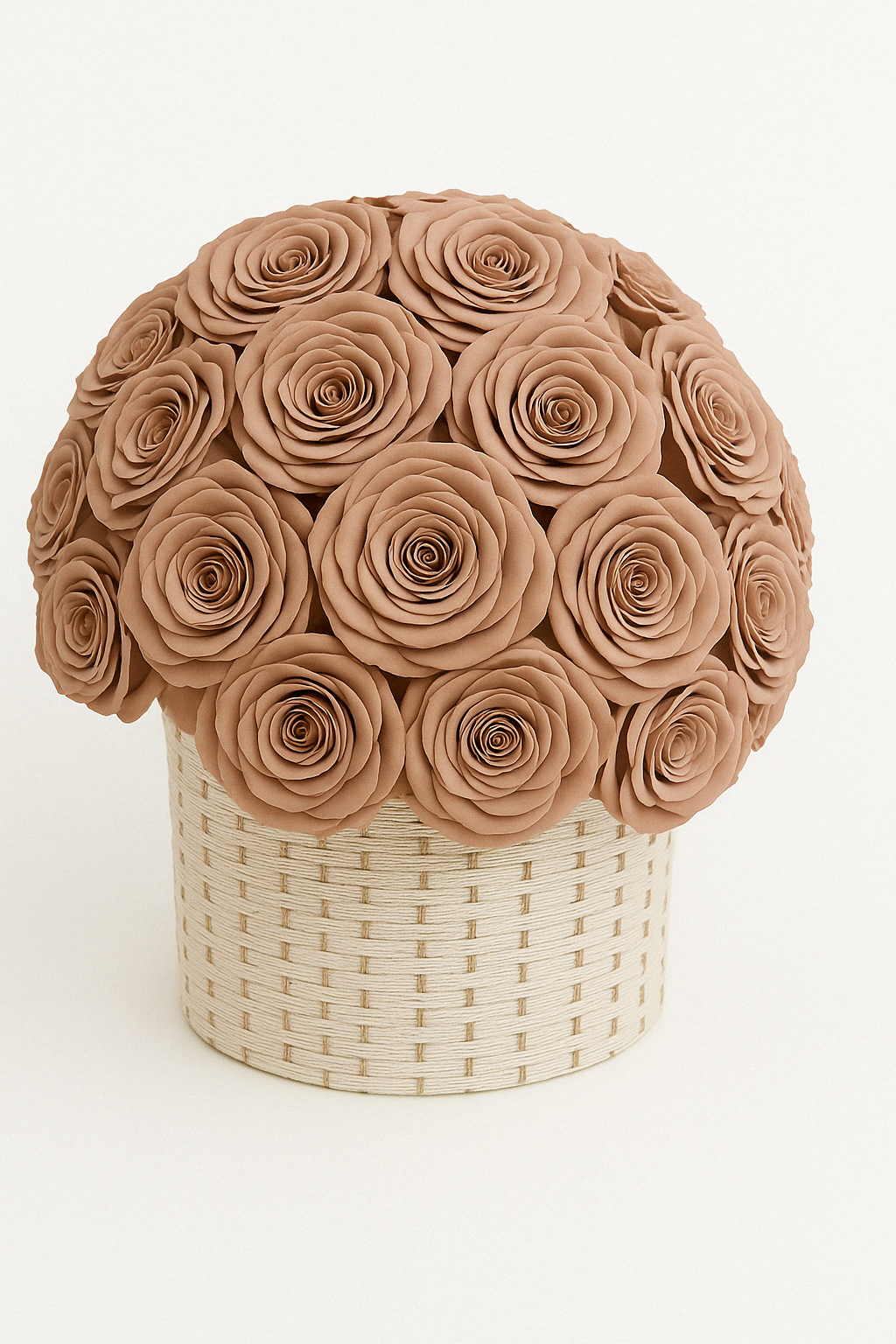 Ashley’s Forever Rose