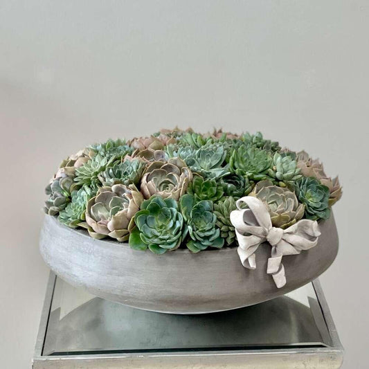 BP Succulents Vase - Black Petals