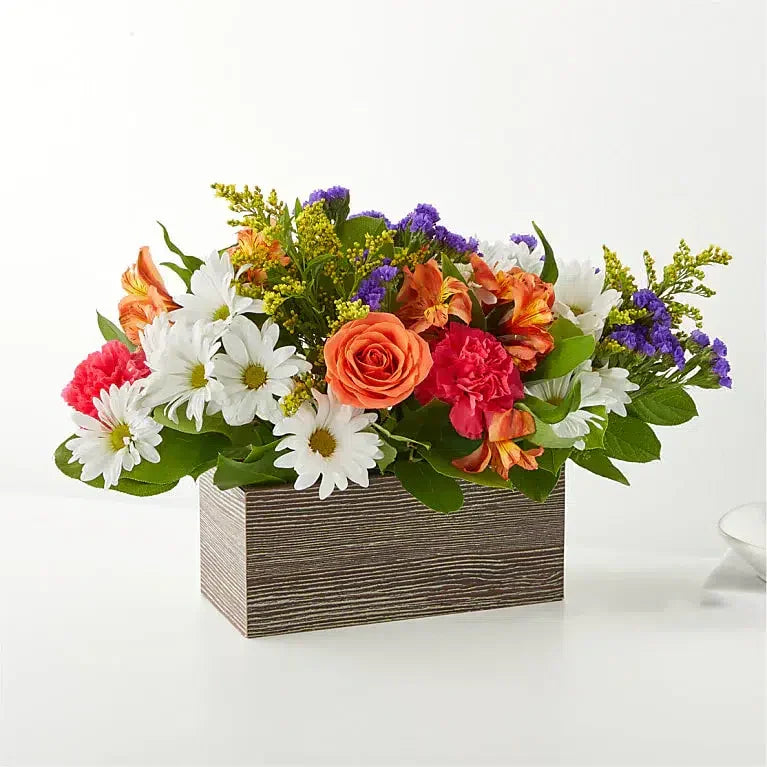 Oopsie Daisy Box Bouquet - Black Petals