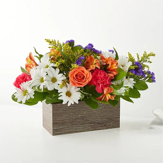 Oopsie Daisy Box Bouquet - Black Petals