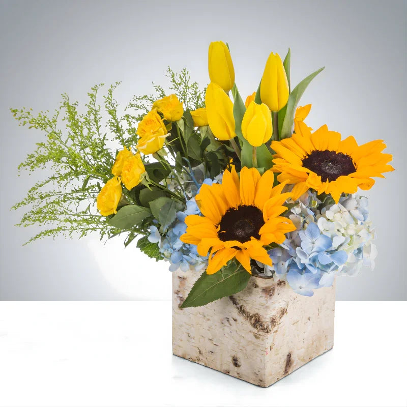 Cutie Pie by black petals - Black Petals