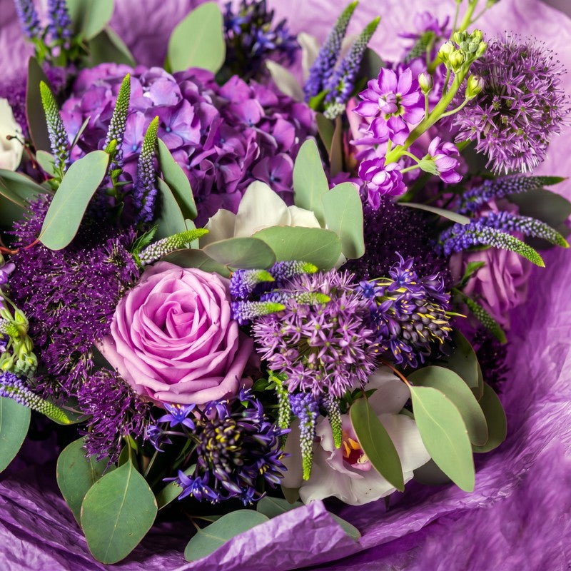 Designer Choice - Jewel Tones
