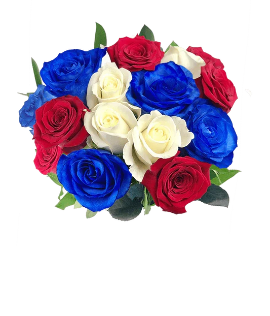 Red, White, and Blue Roses - Black Petals
