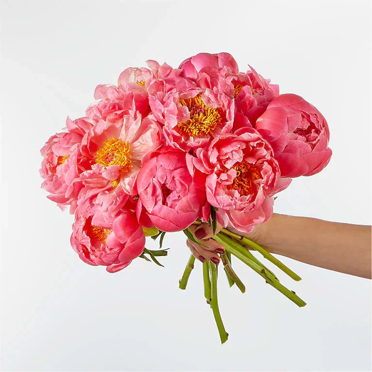 Best Bunch Peony Bouquet - Black Petals