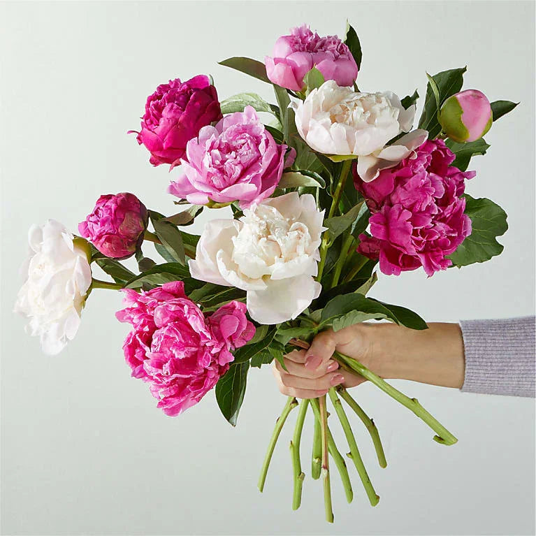 Picturesque Peony Bouquet - Black Petals