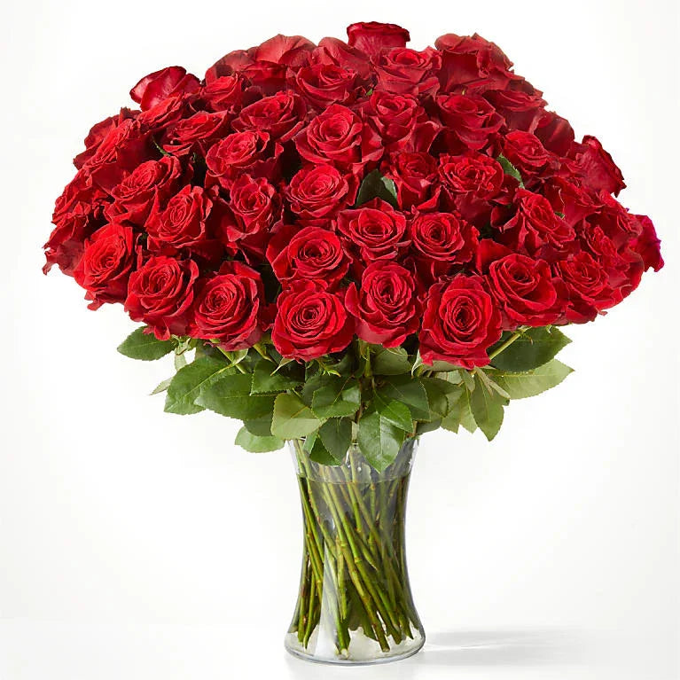 Fifty Long Stem Red Roses - Black Petals
