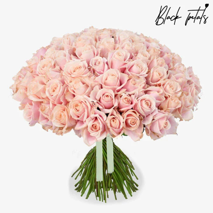 Flamingo - Black Petals
