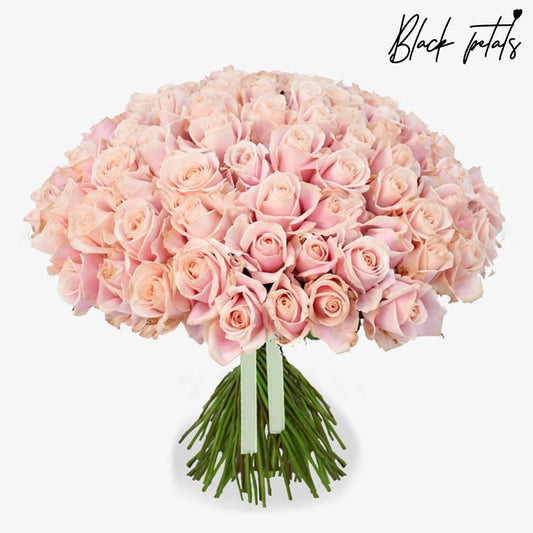 Flamingo - Black Petals