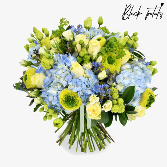 Forget Me Not