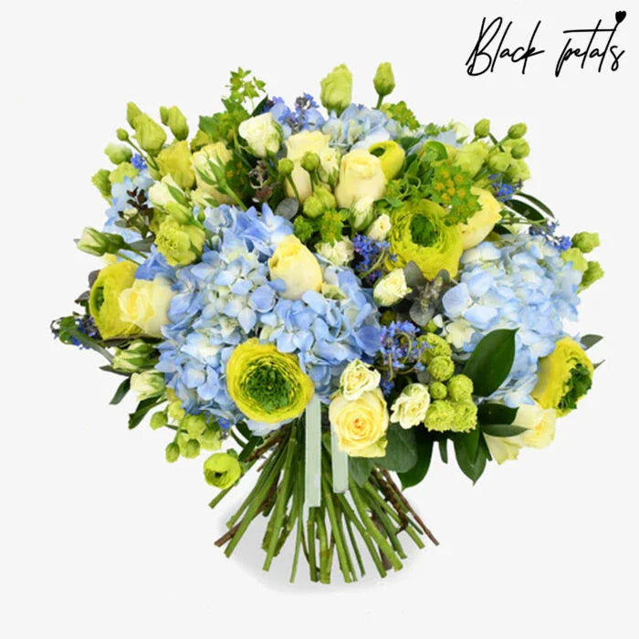 Forget Me Not - Black Petals