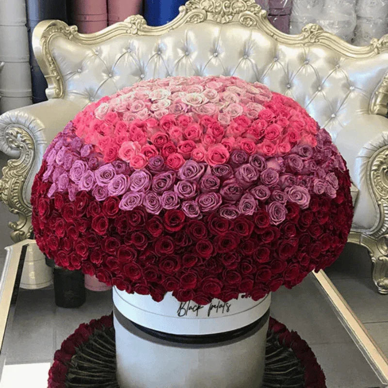 Grandiose 500 Ombre - Black Petals