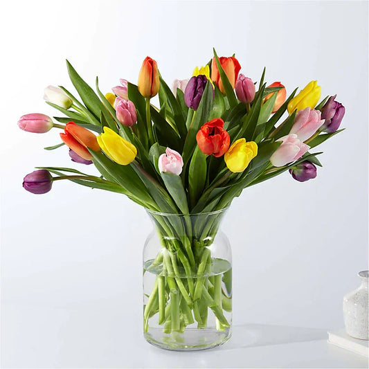 Picnic Tulips - Black Petals