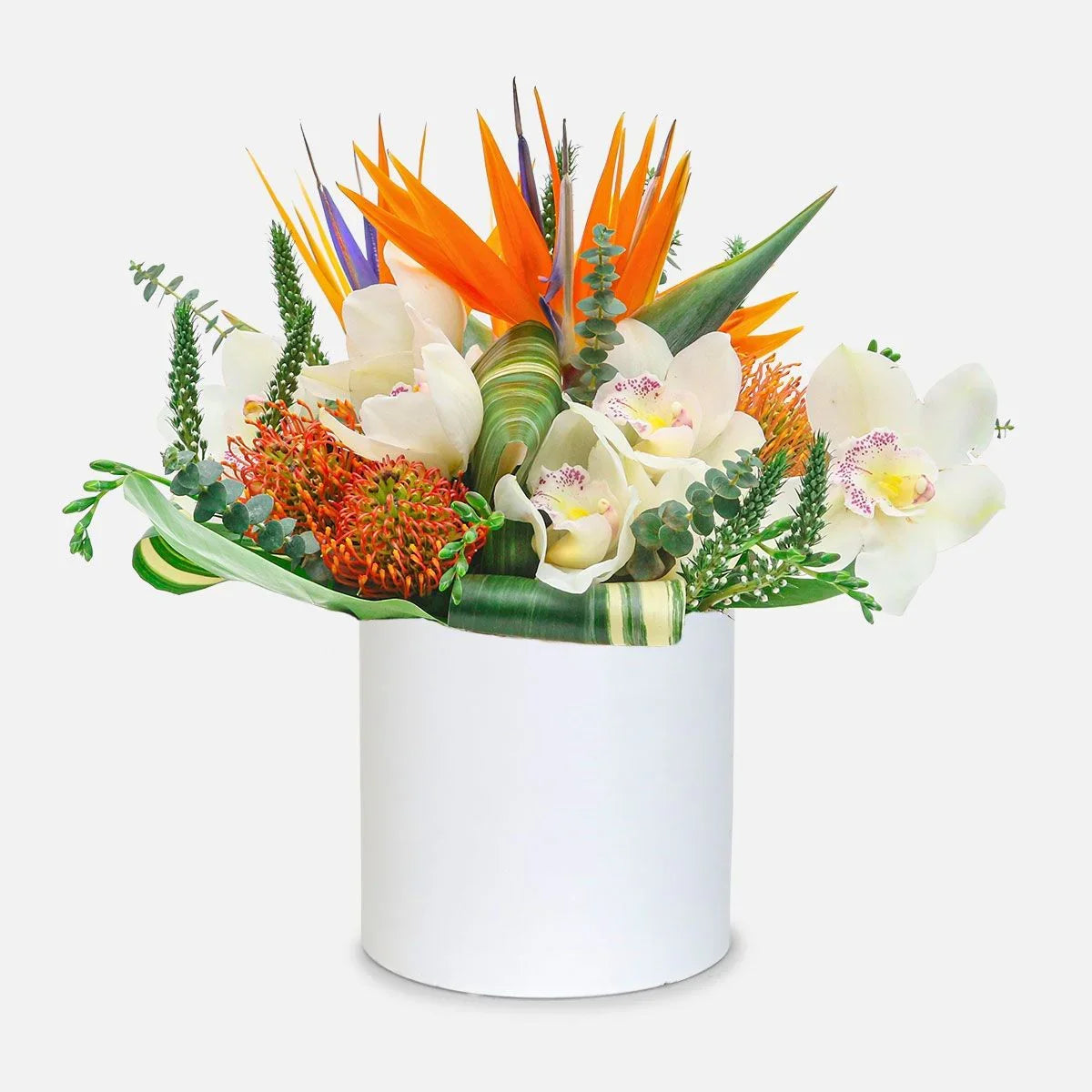 Amazing Mahalo Arrangement with Birds of Paradise, white orchids, and tropical greenery in a white vase, same-day NYC delivery.