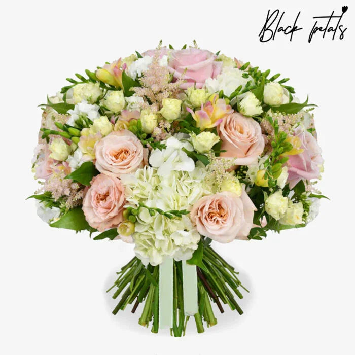 Melody - Black Petals