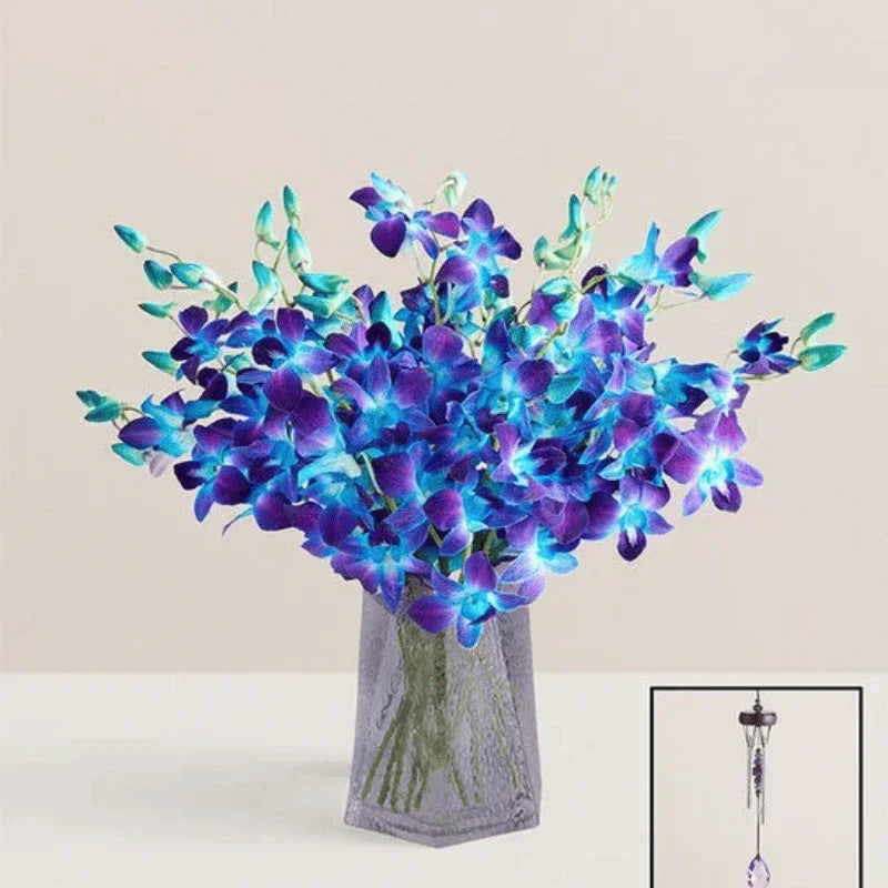 Ocean Breeze Orchids – NYC Summer Blooms – Black Petals