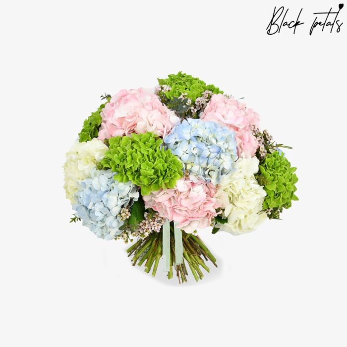 Heavenly Hydrangea
