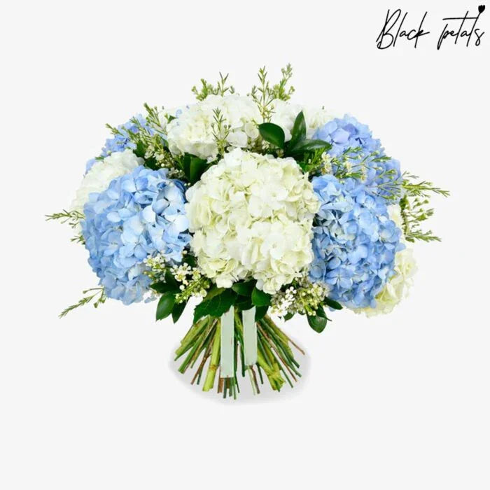 Hydrangea Delight - Black Petals