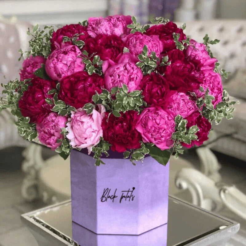 Peony Lovers Dream - Black Petals