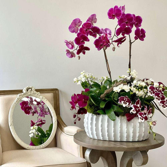 Purple Orchids Wonderland - Black Petals