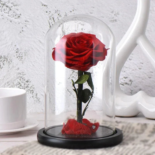 Red Preserved Rose - Black Petals