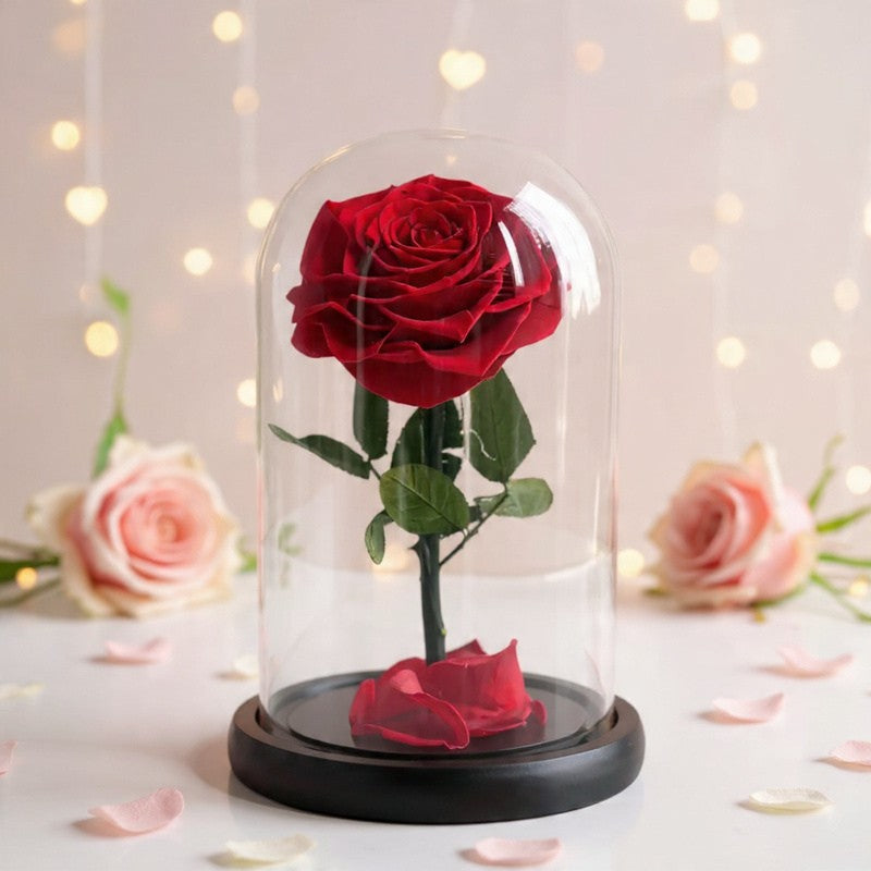 Elegant red rose flower by Black Petals, symbol of love and romance, perfect romantic gift with same day delivery in NYC