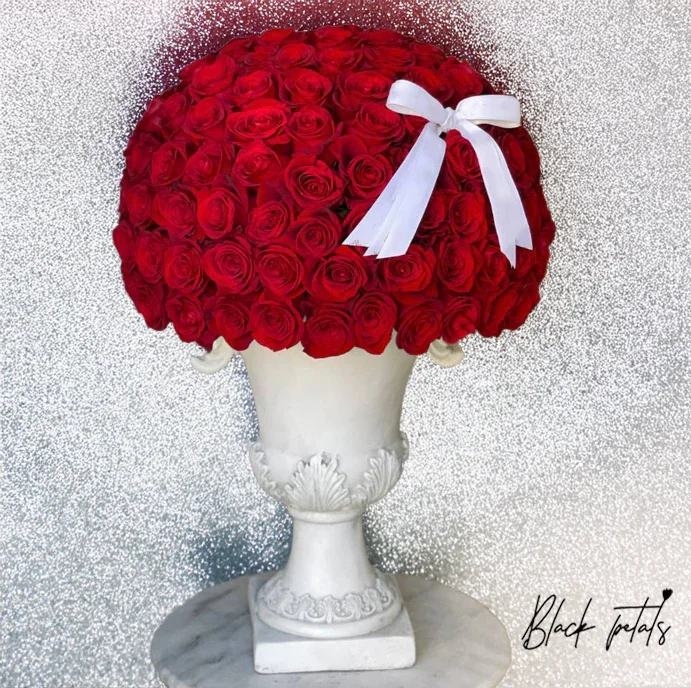 200 Signature Dome Shape Red Roses - Black Petals
