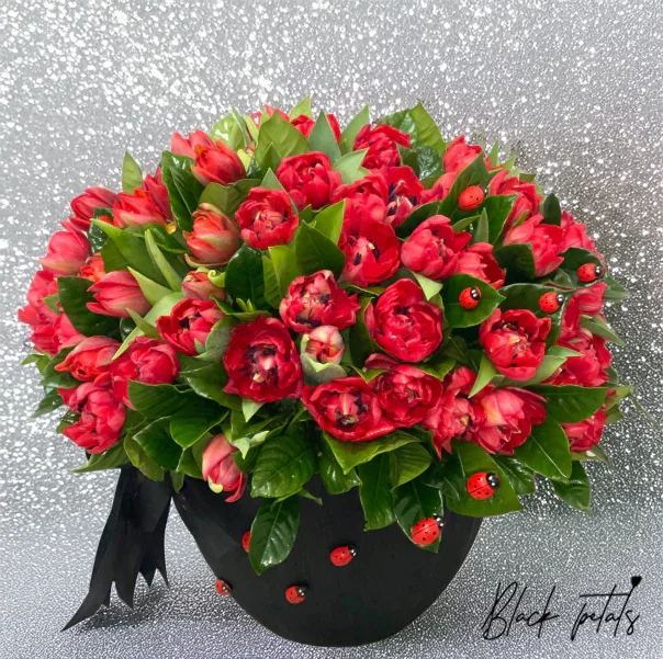 Cherry Lady - Black Petals
