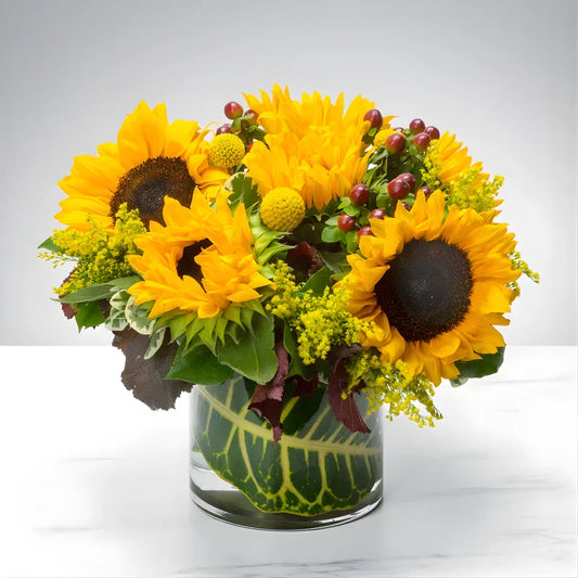 Sunflower Hills - Black Petals