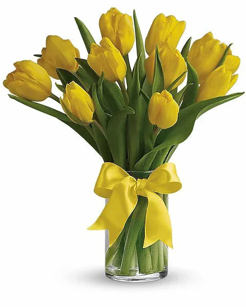 Sunny Yellow Tulips - Black Petals