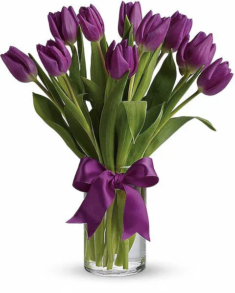 Passionate Purple Tulips - Black Petals
