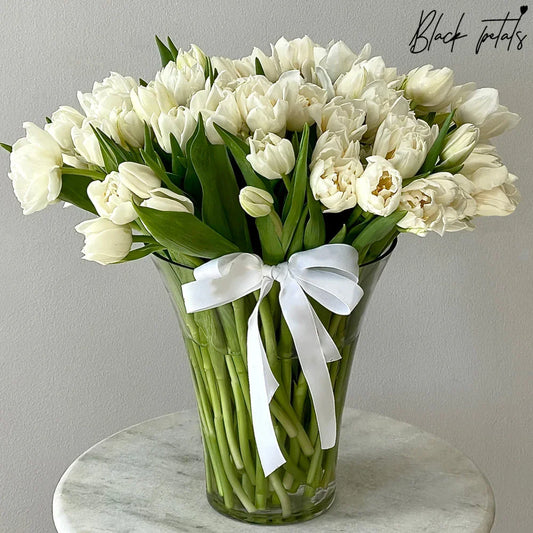 Tulip BP - Black Petals