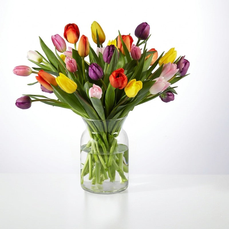 Picnic Tulips Bouquet and Berry Bundle
