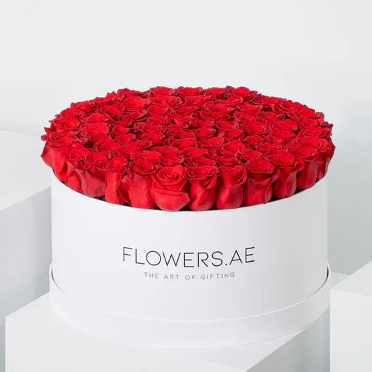 Valentine XXL Red Roses Hatbox - Black Petals